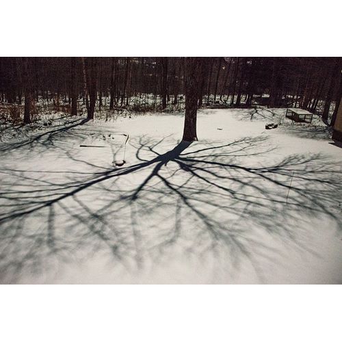 Jones, Allison 아티스트의 USA-Vermont-Morrisville-moon shadow of ash tree on snow-covered lawn작품입니다.